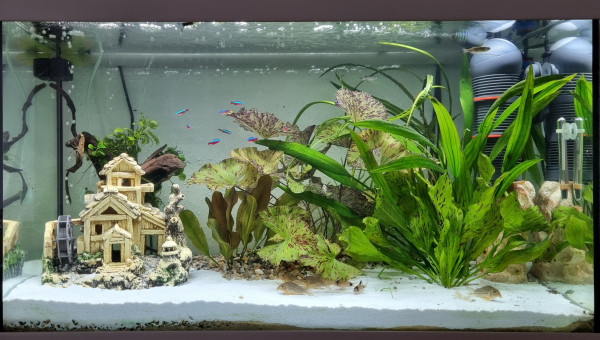 CANYON OCCITAN juin 2025