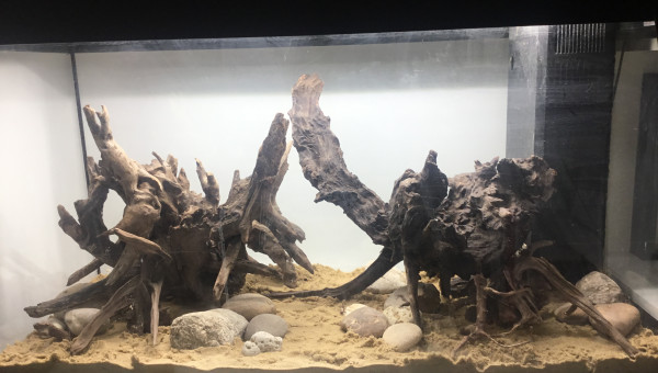 Installation du hardscape