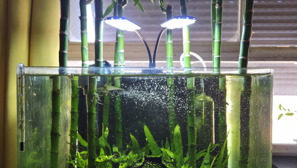 Temple de la zénitude - été 2025