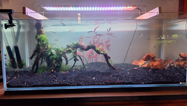 Substitution réussie 98 => 160l