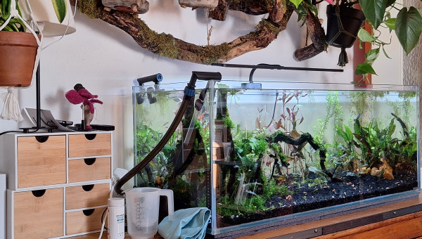 Nouvelle rampe Ireenuo 3060