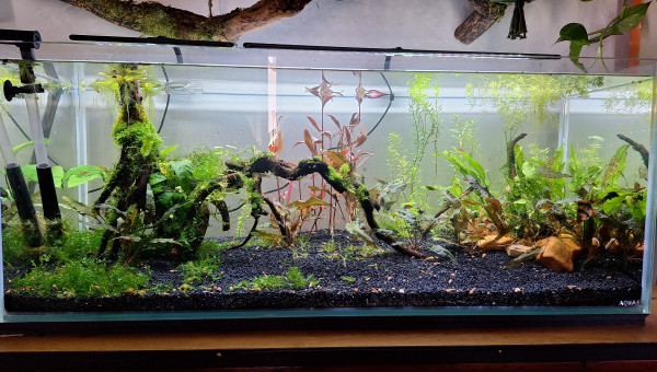 Ajout de la ireenuo 3030