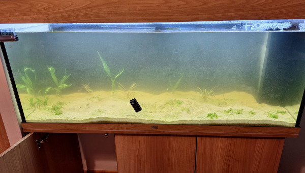 Nettoyage total et Black out