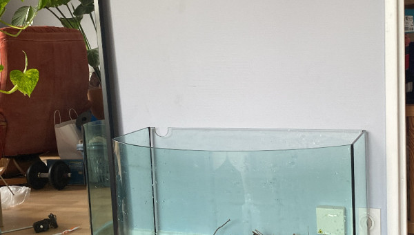 Cuve à nue nettoyée