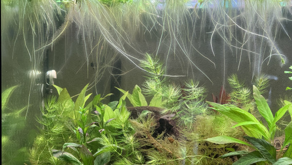 Bientôt la fin du cyclage