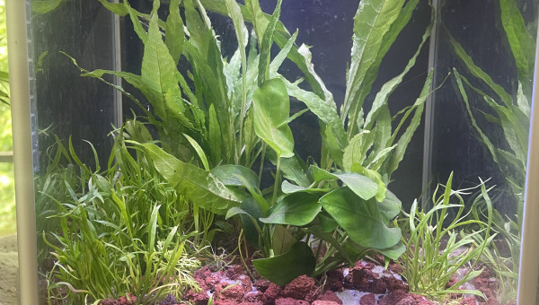 Petit cube lowtech de 10l