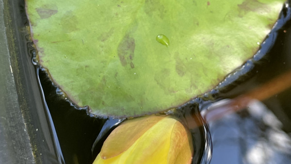 Aller encore un petit effort !