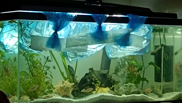 Début de l'aventure Paris Chambéry