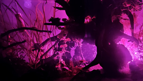 Une autre lumière, un autre bac.