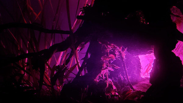 Une autre lumière, un autre bac.