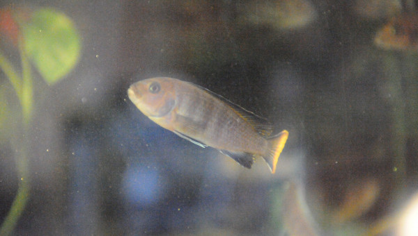 Levé du jour vendredi 12/09 matin