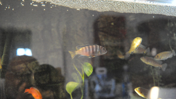 Levé du jour vendredi 12/09 matin