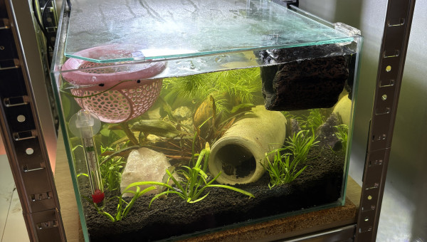 Changement du sol par du sol technique