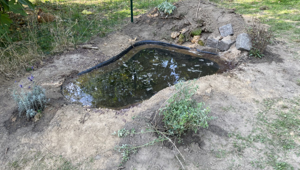 Installation aujourd’hui d’une mare naturelle