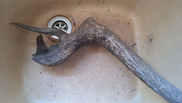 J'ai trouvé un nouveau bâton !