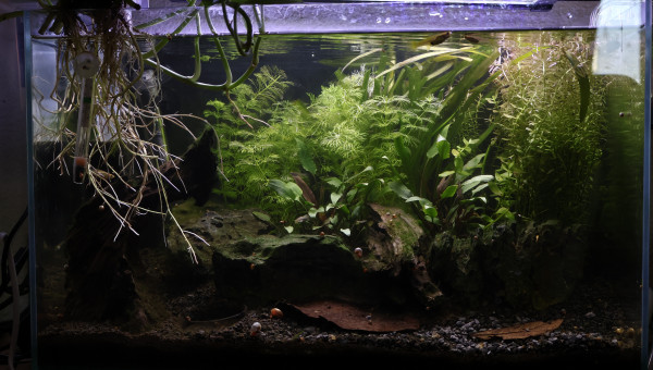 Post gros nettoyage mensuel