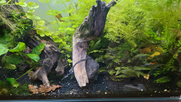 Tout corps plongé dans un liquide subit une poussée...