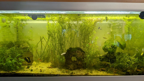 Transformation des 2 dernières années