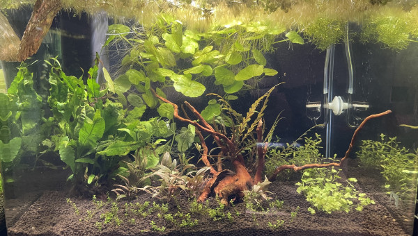 Prêt à accueillir des locataires (bientôt !)