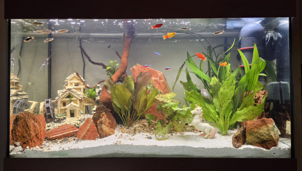 LE CANYON OCCITAN NOVEMBRE 2025