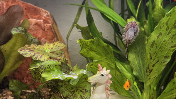 La déco qu'on ne choisit pas