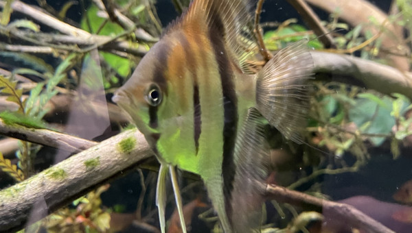 Mes bébés grandissent bien !