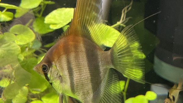 Mes bébés grandissent bien !