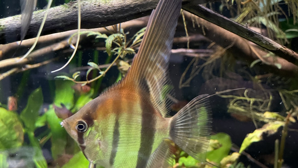 Mes bébés grandissent bien !