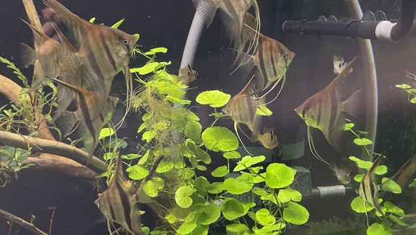 Mes bébés grandissent bien !