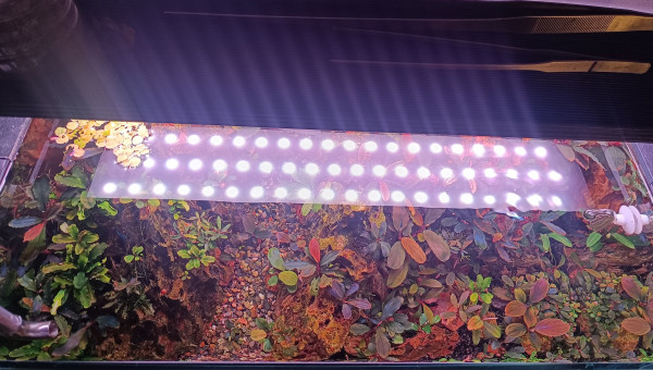 Mise à jour au 12/11