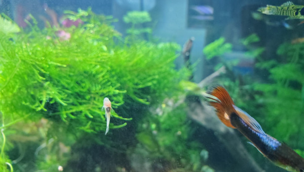 Notre nouveau nettoyeur de vitre