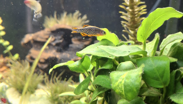 Chantier du changement de sol terminé