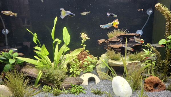 Chantier du changement de sol terminé