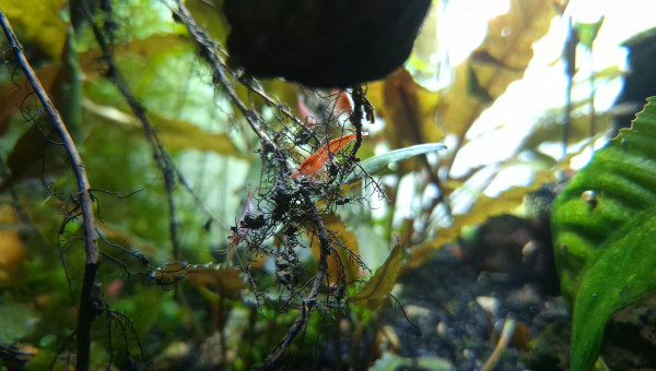 Modification de l'éclairage.