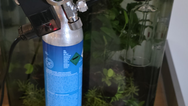 Apport CO2 journalière dans un nano cube