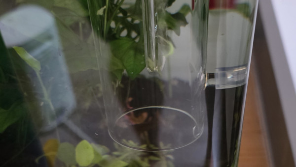 Apport CO2 journalière dans un nano cube