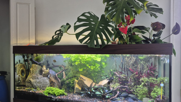 Le bac aujourd'hui !