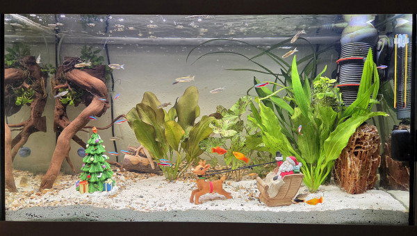 LE CANYON OCCITAN DÉCEMBRE 2025