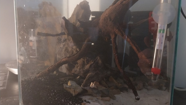 Changement d eau effectué