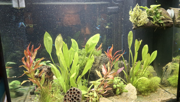 1er habitants arrivés !