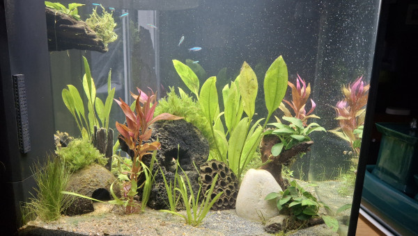 1er habitants arrivés !