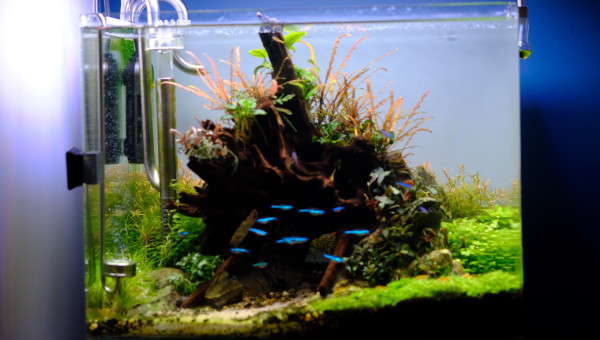 Dernières photos de mon bac ☺️