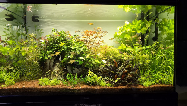 Je vous souhaite tous une très bonne année et une très bonne santé à tous