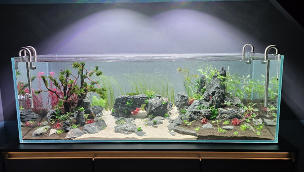 Silence, ça pousse...