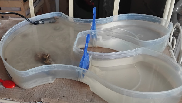 Mon petit bac à triops