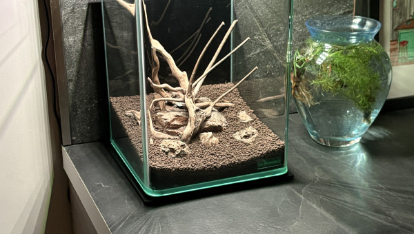 La nature n'est pas morte