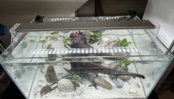 Premier remplissage complet