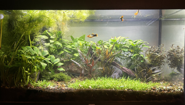 Entretien de mon premier bac