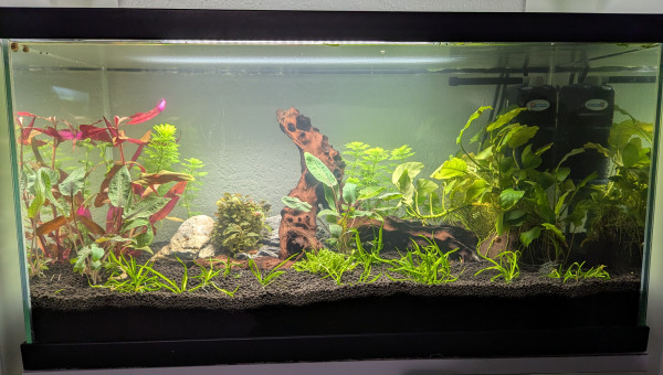 Nouveau first. Mise en eau le 25/01/2026