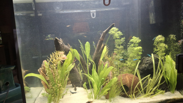 Suite travaux aménagements